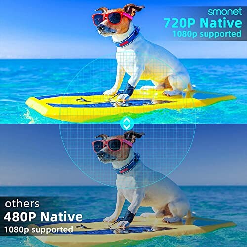A dog wearing sunglasses on a surfboard with a comparison of image quality, emphasizing the projector's performance.