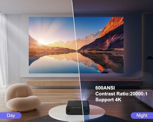 Projector displaying image with day and night contrast.