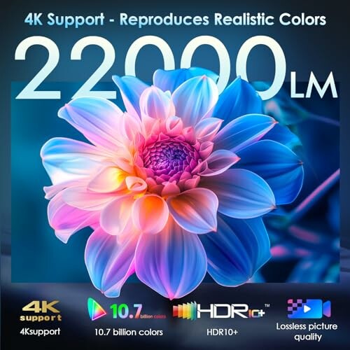 Colorful flower showcasing 4K support and picture quality features.